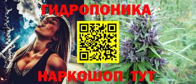 ешки Лесосибирск