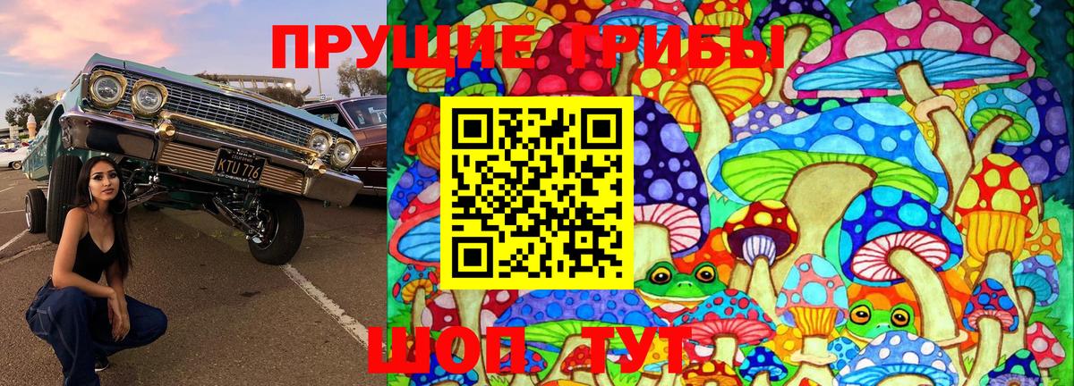 Саянск  Псилоцибиновые грибы Magic Shrooms  Вход с VPN 