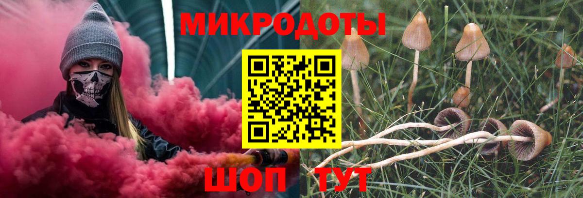 Галлюциногенные грибы GOLDEN TEACHER Саянск
